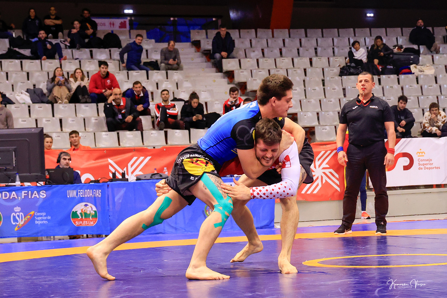 Rankings Nacionales Feloda