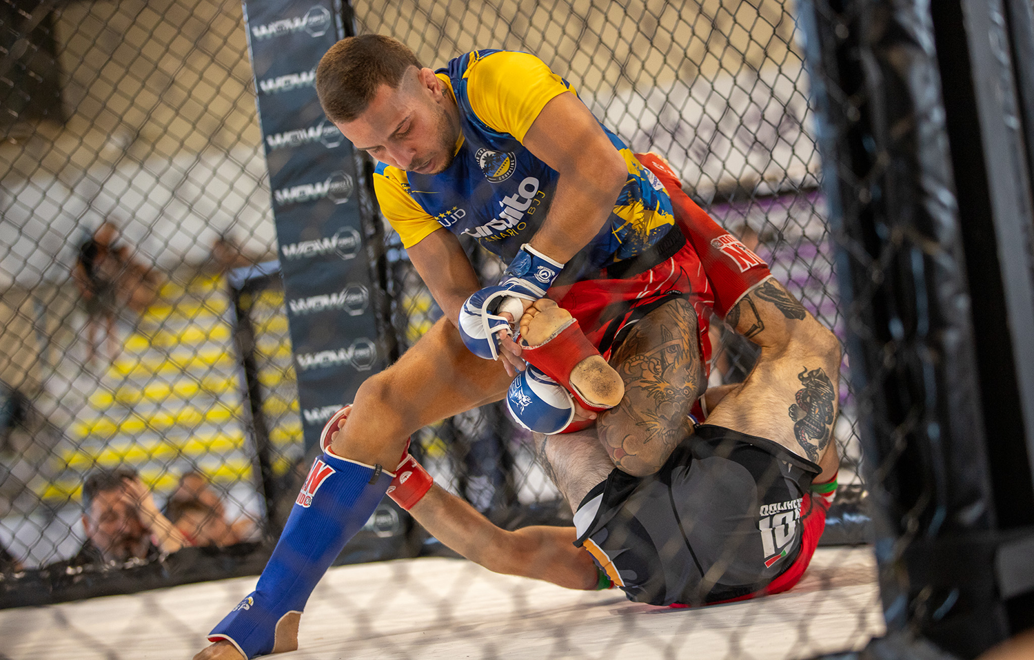 Deivid Santana, durante un combate del nacional en Torrejón