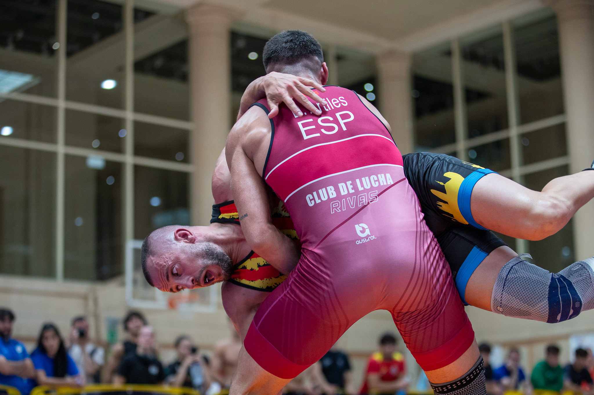 Rankings Nacionales Feloda